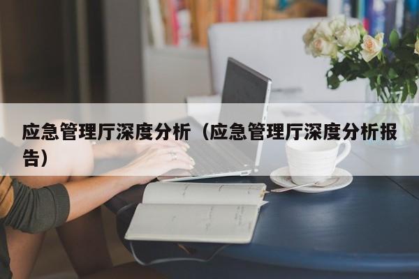 应急管理厅深度分析（应急管理厅深度分析报告）