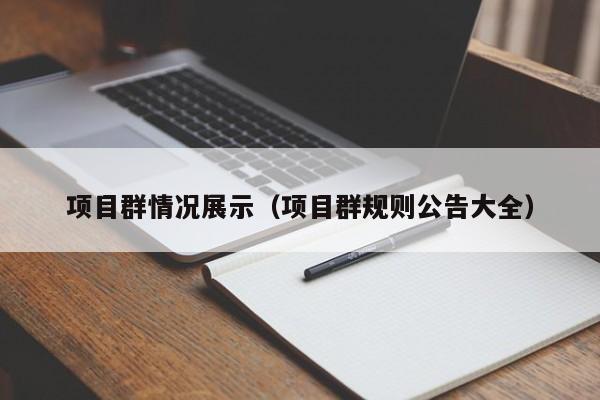 项目群情况展示（项目群规则公告大全）