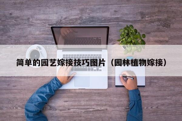 简单的园艺嫁接技巧图片（园林植物嫁接）