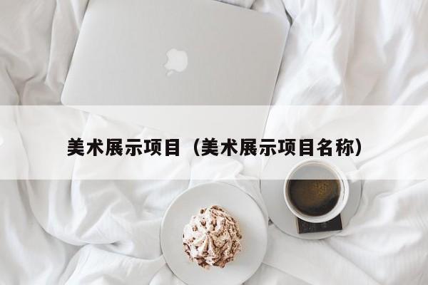 美术展示项目（美术展示项目名称）